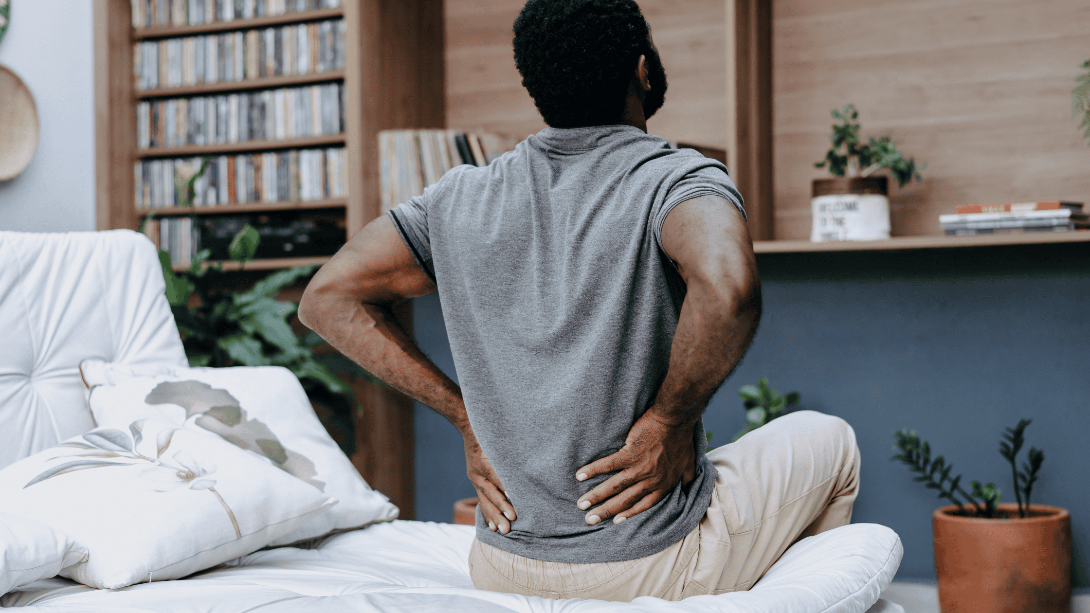 vertebrogenic low back pain
